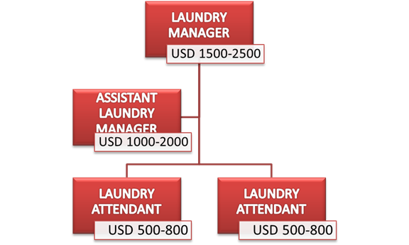 Jenjang Karier Laundry